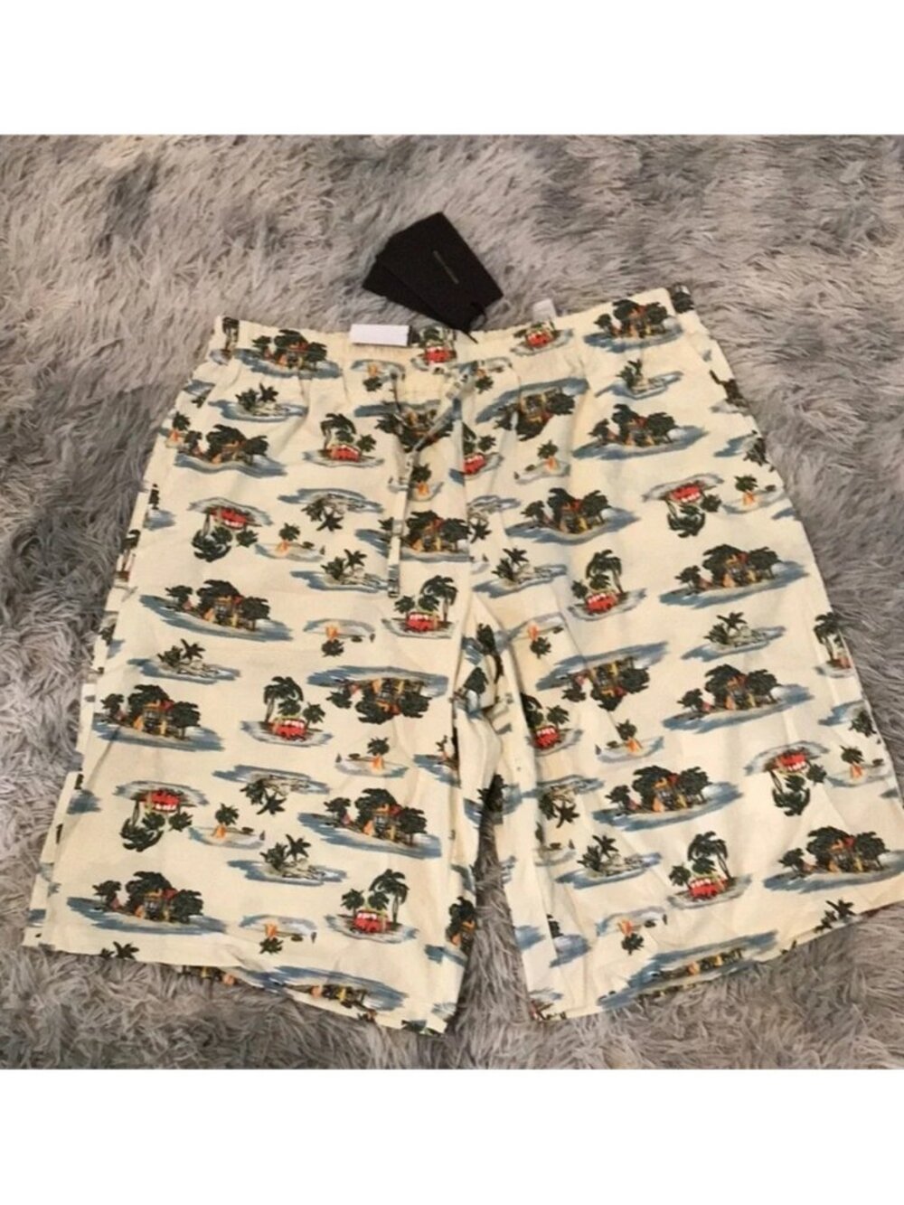 New Authentic Bottega Veneta Tropical Print Men's Swim Shorts size 48